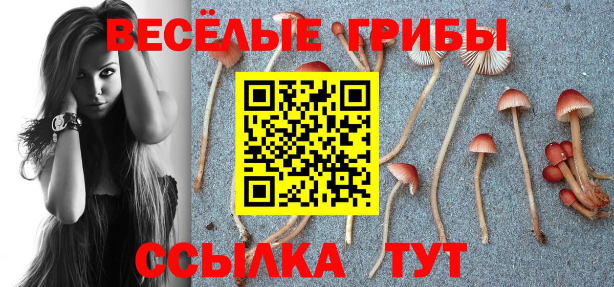 Псилоцибиновые грибы мухоморы  Вход с VPN  Кандалакша 